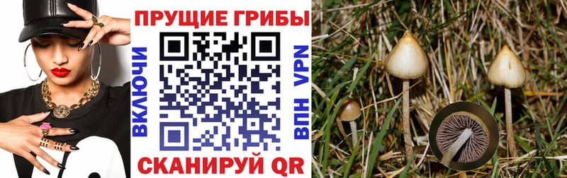 где купить наркоту  ссылка на мегу вход  Псилоцибиновые грибы прущие грибы  Первомайск 